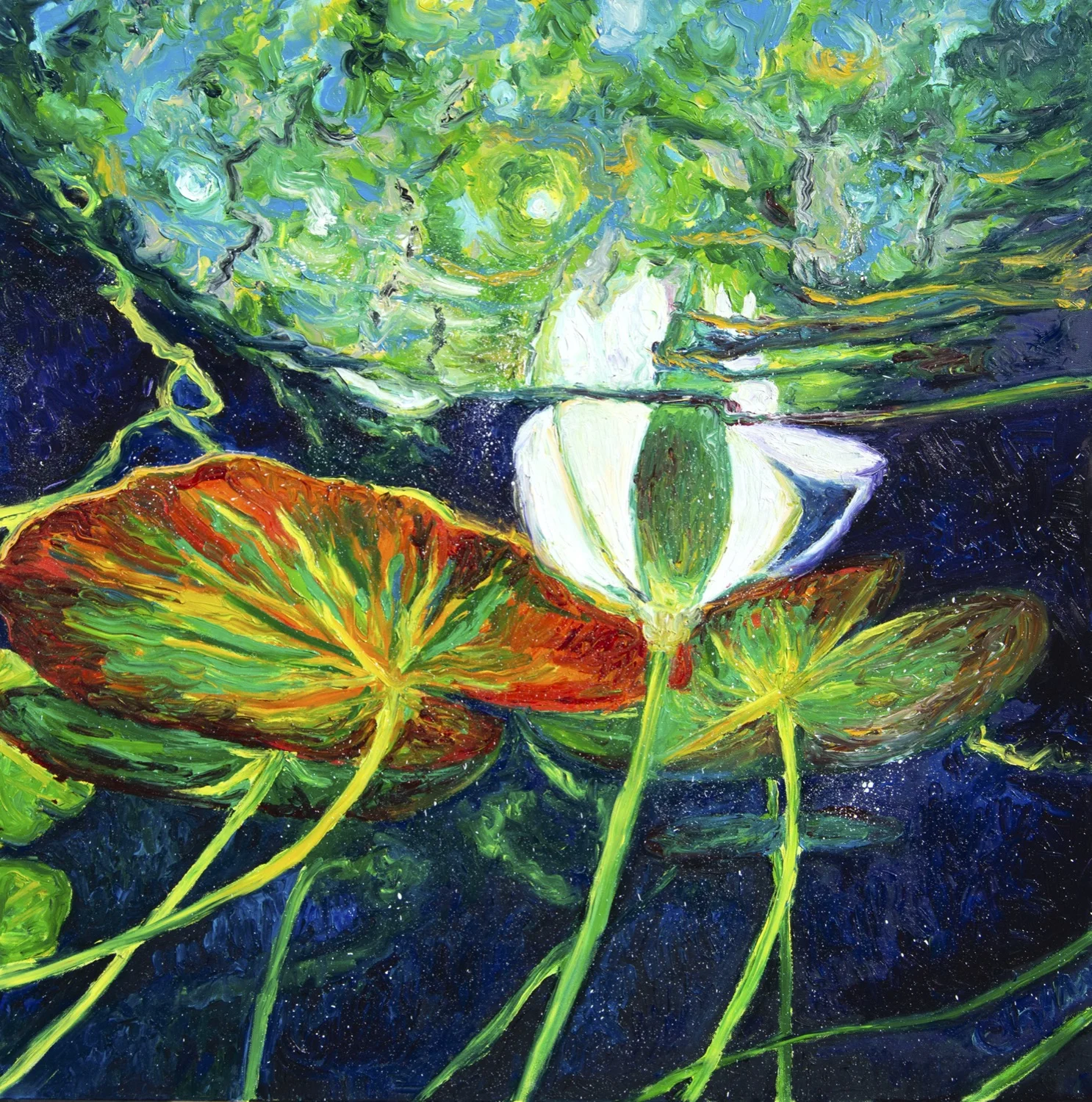 Under Waterlillies